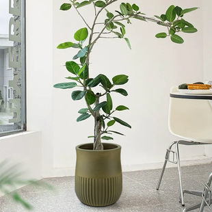 �S�����l��ߴ���ػ�����滨�٘��b���Nֲ��¹����ϻ���