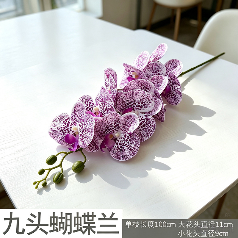 3D Phalaenopsis mới/tím đốm