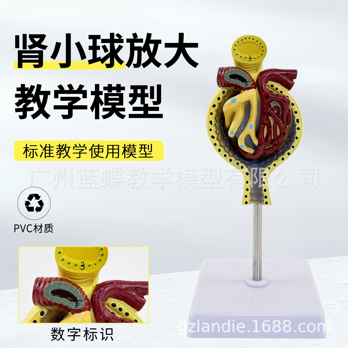 ��ѧ����������С�����ģ�ʹ�������Ȼ����С���������ϵͳ�̾�