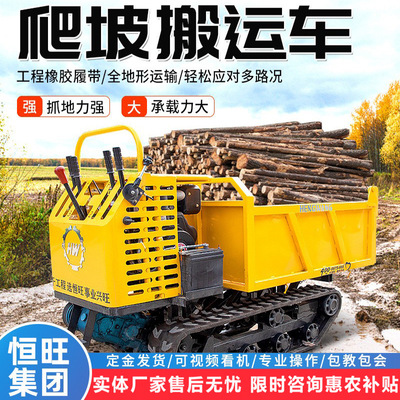 履帶運輸車爬山虎運輸車全地型可升降自卸履帶運輸車果園運輸車
