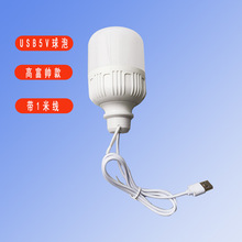 5v低压高富帅球泡灯野营应急照明5伏充电宝太阳能系统供电USB灯泡
