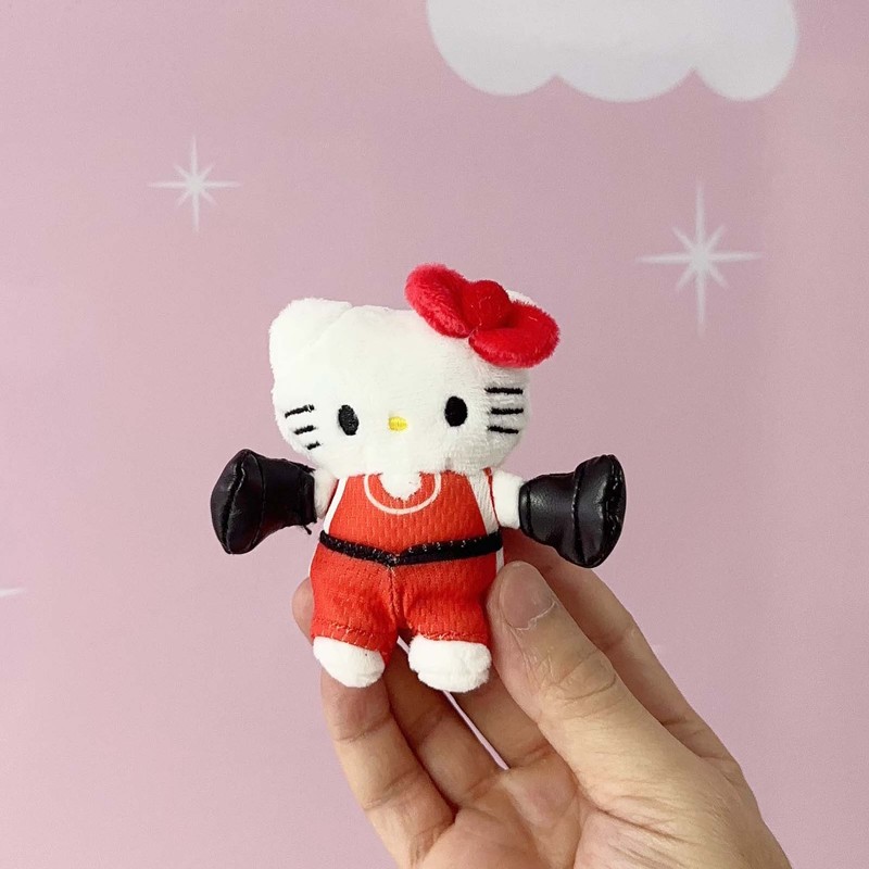 可爱三丽鸥创意第五弹hellokitty毛绒玩具玩偶挂件少女心生日礼物|undefined