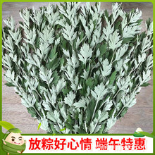 ����ڰ���diy���ʰ�����Ʒ������ʰ�����֧����ڰ��ݻ�������