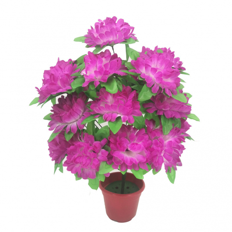 18-head chrysanthemum with leaves (purple edge) 1 branch - 1 branch + flowerpot quality choice