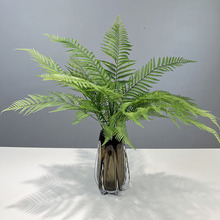 ����Gֲ �R��ާֲ���҃ȸ���ؼ٘��~���Wins�����쾰��ɽ���X�~