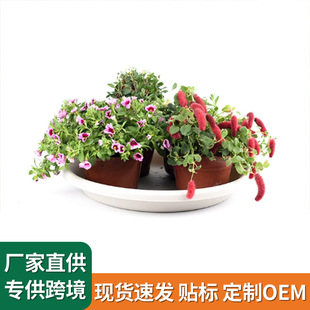 TELSLY�A�����ϻ����бP �Ӻ����Ø�֬���е׵� ��������ˮ�P