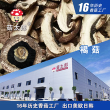 �S��ֱ�N�ֹ���Ģ��ţ�Ź���Ģ����Ģ�~��Ģ���p�߹�����Ƭ�ɳ���