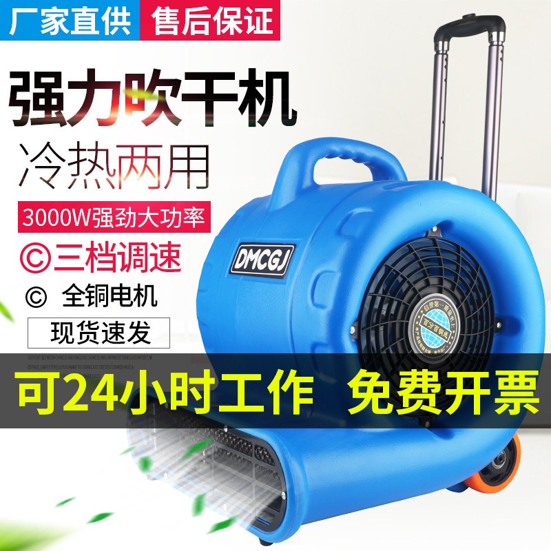 Blower Dryer Hotel Commercial High-Power Drying Hot and Cold Hair Dryer Carpet Toilet Floor Dehumidification Floor Blower