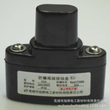 FZH 电伴热接线盒 电热带配件  终端接线盒 防爆尾端接线盒  电伴
