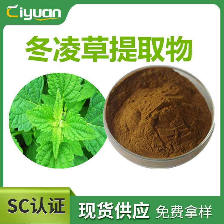 冬凌草提取物 Extract of wintergreen 冰凌花提取物 多规格 现货