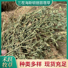 纣ޣݺsţR  ϻޣ݄@øɲ