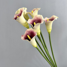 ?PU�R��ɏ���Ҿ��b�c��Ʒ��Ʒ�|�ָ��R��ɏ�OӋ��ˇ�廨