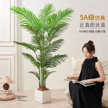 ����Gֲ�߼���ɢβ��ֲ�����ԼҾӿ͏d�b[������҃ȼ٘�Gֲ