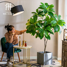 仿生绿植大型枇杷树室内客厅高品质仿真假植物盆栽造景装饰摆件