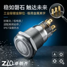 按钮开关;其他插头;其他开关