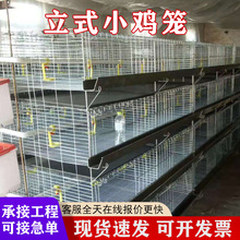 养殖场专用育雏笼小鸡笼四层小层叠养殖鸡笼子农用畜牧含托粪盘