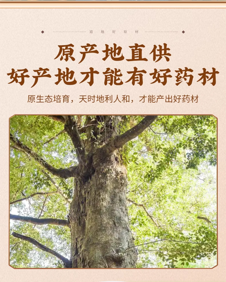 Dried Sandalwood 500g Tan Xiang Aromatic Herb for Incense Blends and Traditional Use key features