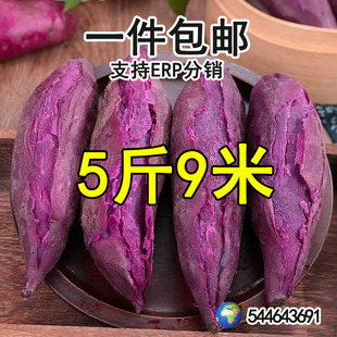 ���r����1/3/5/9�ﮔ����Ʒ�����ع�ܛŴ���𽡿��pʳ���r�߲�