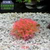 Moss [Small Haystack (pink green)]