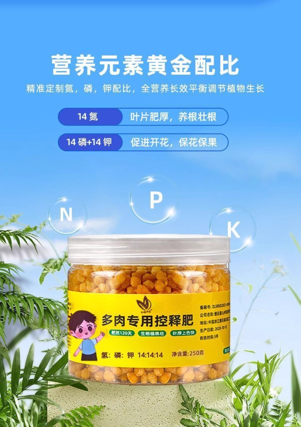 详情图