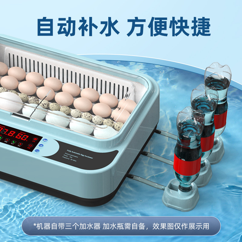 Incubadora, hogar pequeño, incubadora inteligente automática, incubadora, incubadora, loro, huevo de pájaro, pollo, pollo, pollo