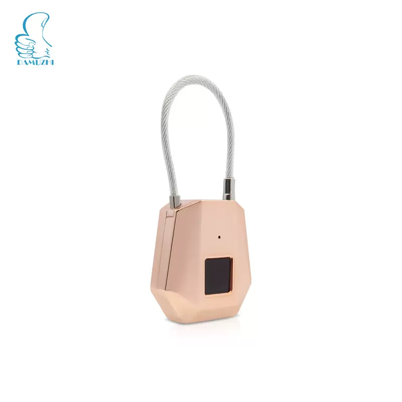 背包指纹挂锁智能指纹挂锁户外行李箱指纹锁不锈钢门橱柜挂锁