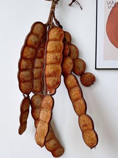 �}�����^�������vƽ����ֲ������˱���֦���g�bҒ�ɻ�