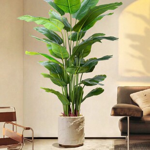 �����B����Gֲ�߶��p�ݷ������͏d�����҃����Ԕ[���b��ֲ��