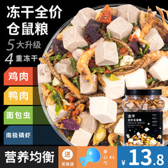 ペットハムスターの栄養価の高い主食、フリーズドライの自作飼料、ゴールデンベアフード、主食、スナック用品