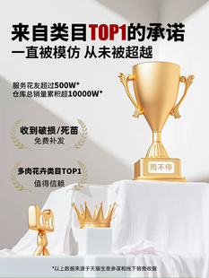 2P80ֲ҃Сk҃׃@ܾGֲ