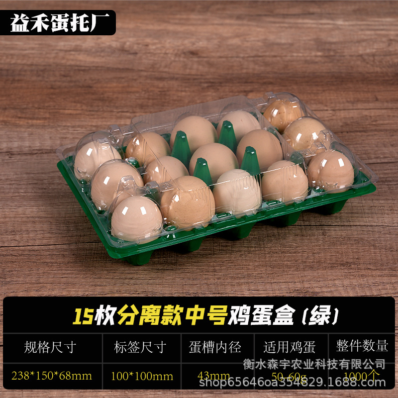 15枚中号绿色底盖分离一次性塑料鸡蛋托透明加厚带扣鸡蛋托盒厂家
