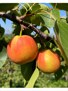 ��ɽ�Ϲ���5��С��ˮ�������rˮ�������t�χ������|���خa���]