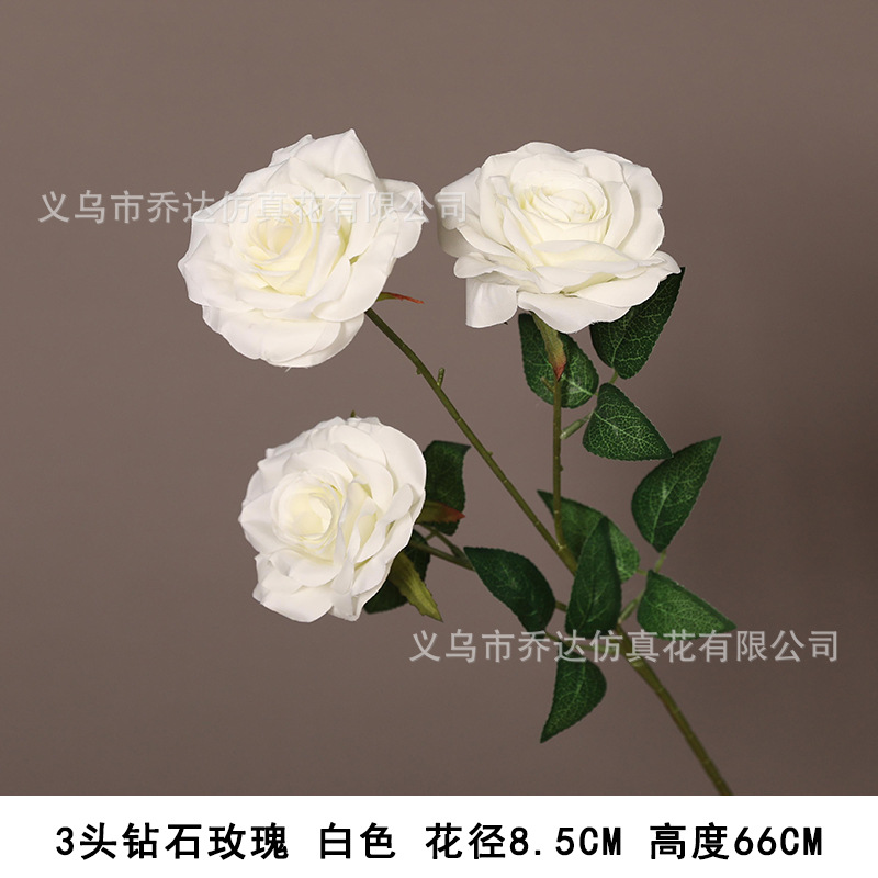 3 다이아몬드 로즈-화이트