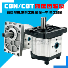 CBN ギアポンプ CBN-F316 CBT 油圧ポンプ F304 F306 F310 F312 F325 オイルポンプ高圧