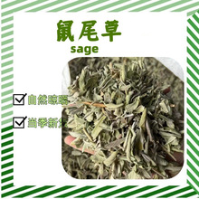 ���l��β�������{ζ���������� sage ����ɢ�b���{���ϷNֲ�a��