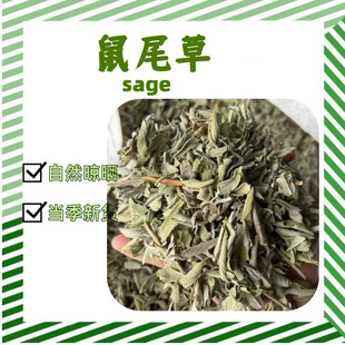 ���l��β�������{ζ���������� sage ����ɢ�b���{���ϷNֲ�a��