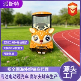 电动观光车;其他电动车;工具车