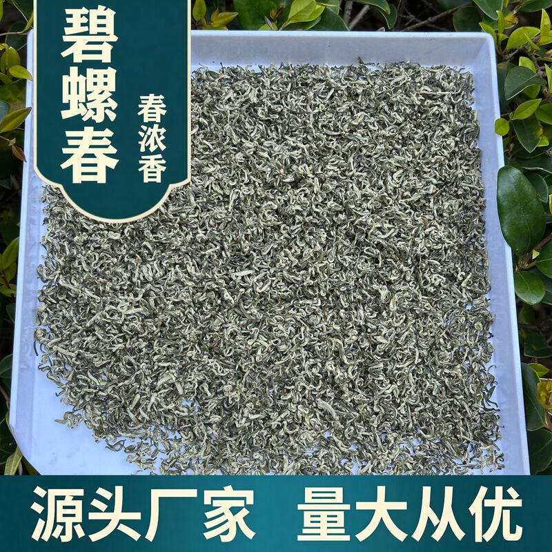 2026 Biluochun Green Tea New Tea Pre-Harvest Special Grade Leaf Tea for Personal Consumption, Loose Leaf Wholesale Green Tea Leaves