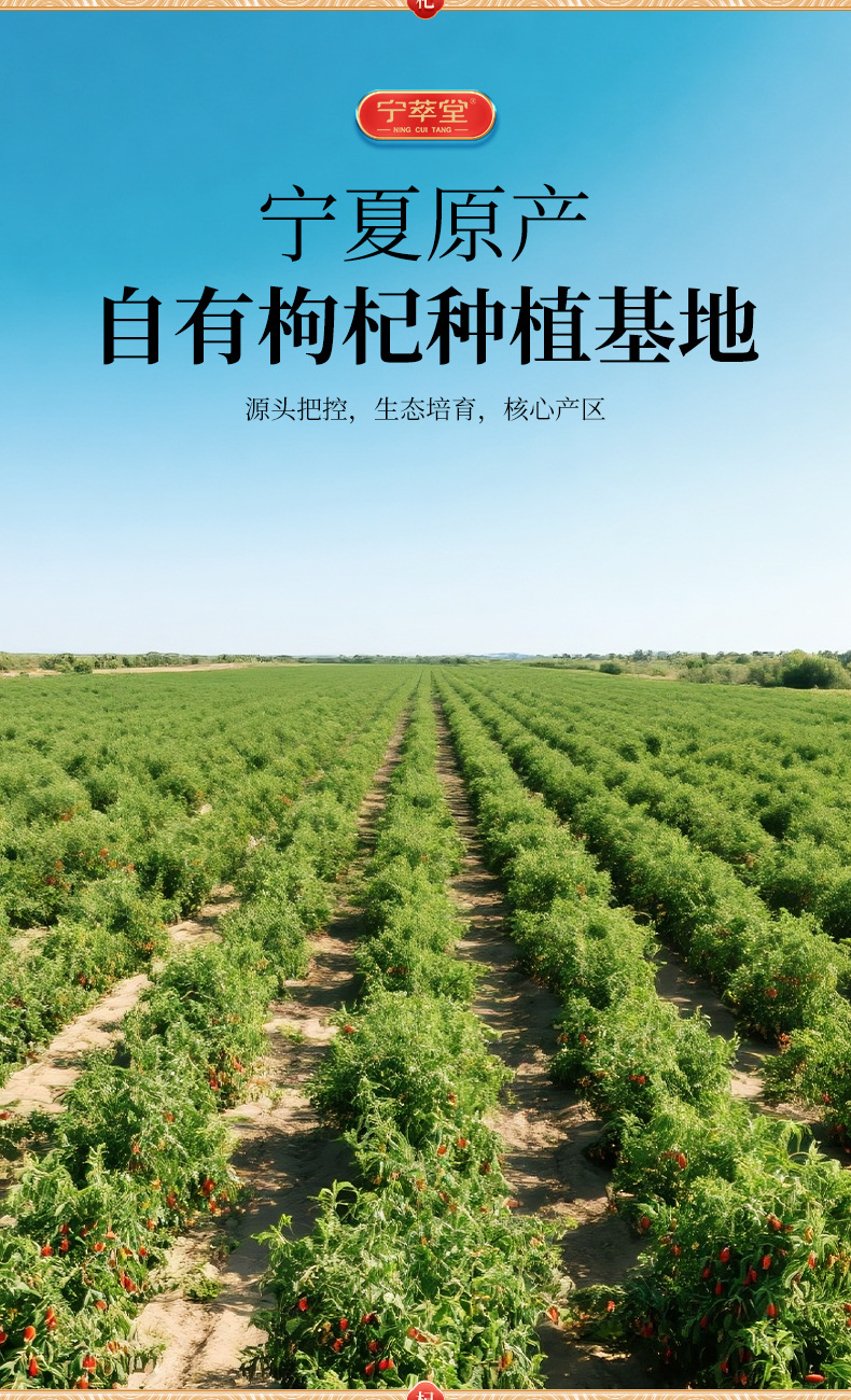 Dried Goji Berries Ready to Eat Ningxia Premium First Harvest 120g overview