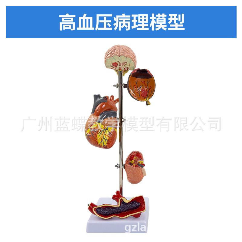 ҽѧ����ģ������ģ������ģ����ģ������������bingģ��