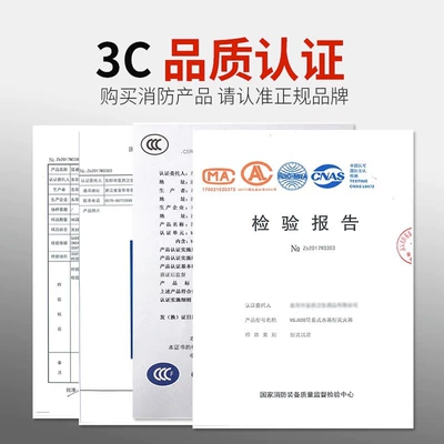 Vehicle fire extinguisher, Vehicle-Mounted Water-Based Fire Extinguisher