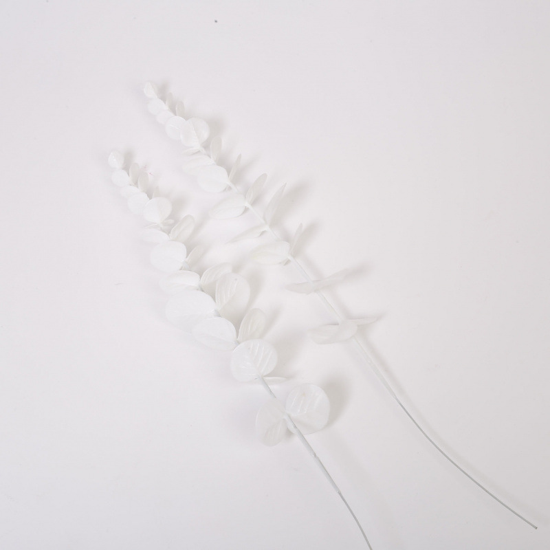 흰색 흰색 유칼립투스 2개—0x0cm