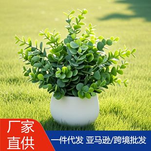 �羳�پGֲ�ȼ��������������������辰����ٻ����ϾGֲ��R�d
