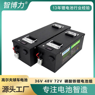 �S��ֱ�N�ߠ�����܇늳�30V48V72V100AH�����^��܇�����F�늳ؽM