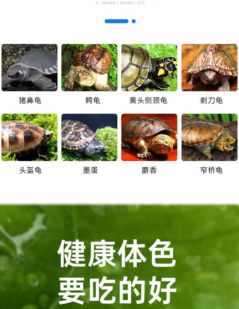 ab169560-02be-4c58-aa21-bb01caef6e96.jpe