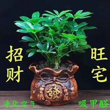 �ļ�����˷���ؔ���_ľ�����҃��̨����Gֲ���ܰlؔ�����~��̩