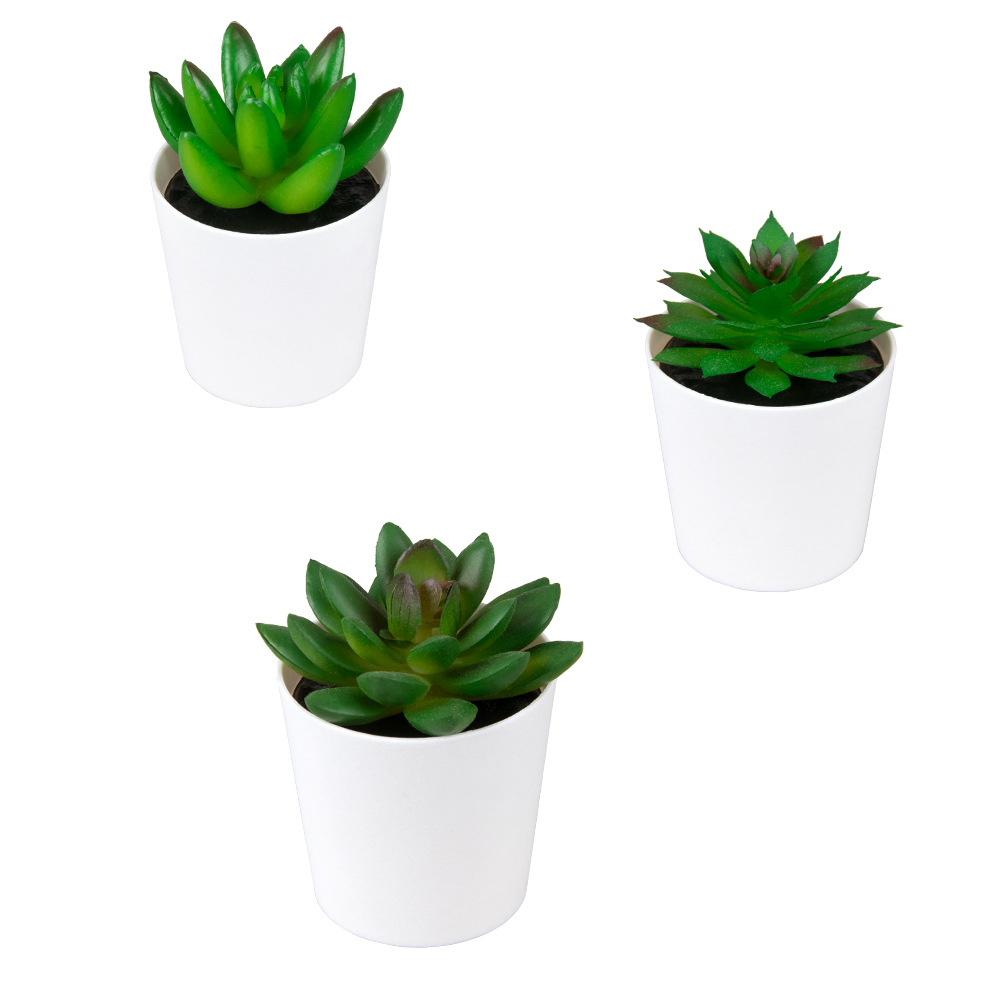 Tamaño pequeño de hadas Kedudo carne mini olla de simulación de plástico esmerilado pequeño bonsai decoración de escritorio regalo simulación suculento