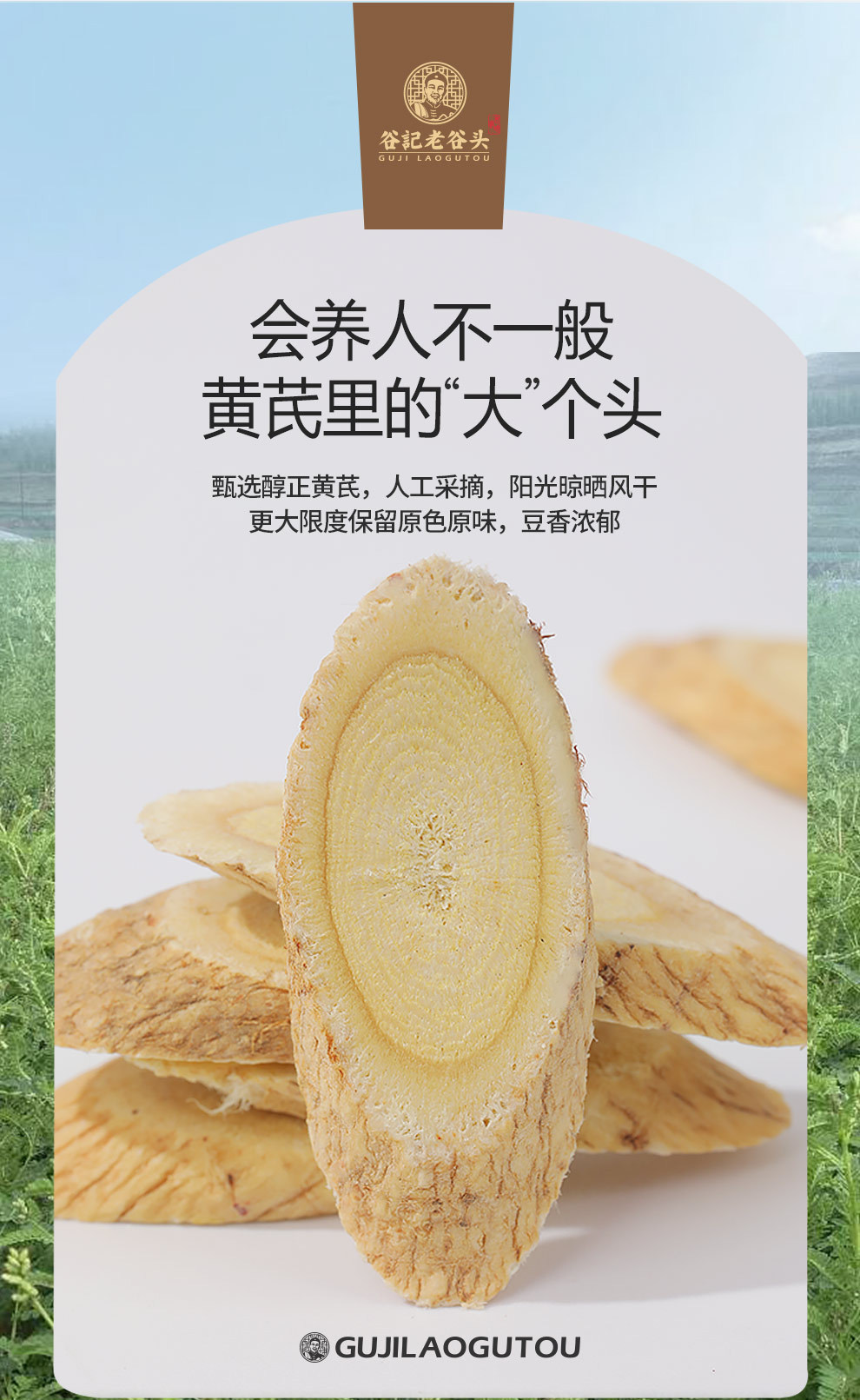 Dried Astragalus Root Slices 220g Gansu Huangqi Beigi Slices for Herbal Tea Soup and Decoction overview