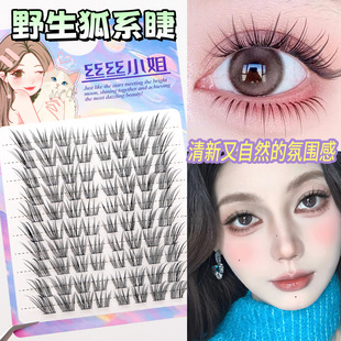 ���zҰ����ϵ�޽Ӹмٽ�ë��Ȼ������͸ë��������ʽб�w���R��ë