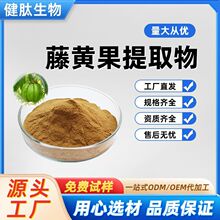 藤黄果提取物 HCA50% 60% 羟基柠檬酸食品原料厂家现货免费取样